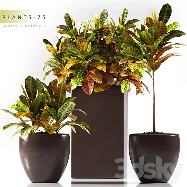 PLANTS 75 3DS Max Model