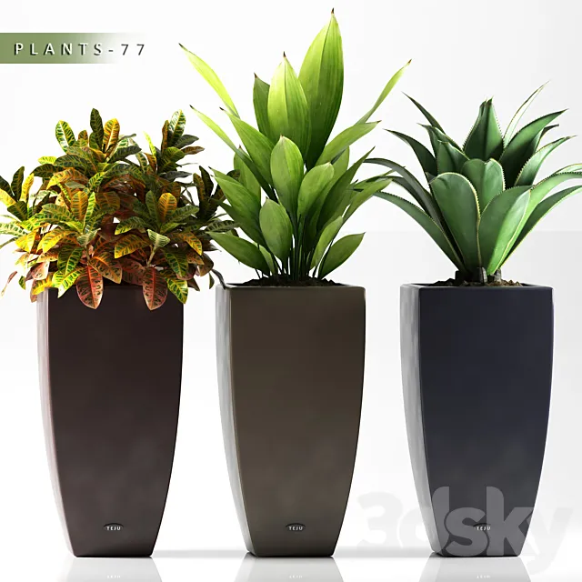 PLANTS 77 3ds Max