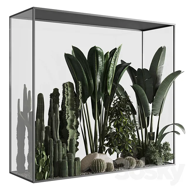 Plants behind glass 02 3DSMax File