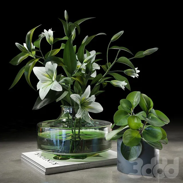 PLANTS – BOUQUET – 3D MODELS – 3DS MAX – FREE DOWNLOAD – 16441