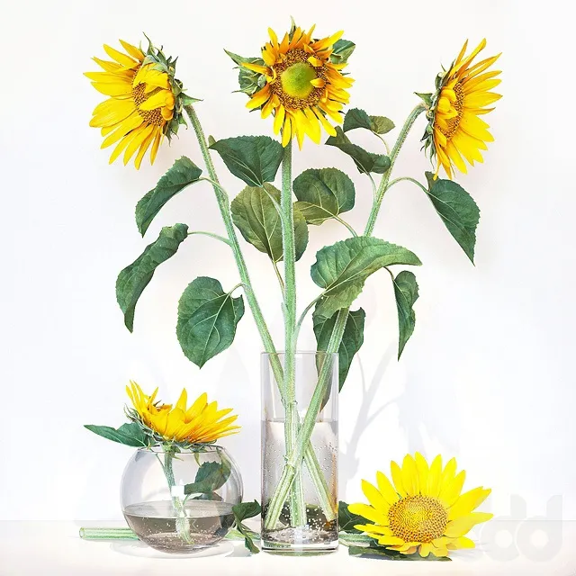 PLANTS – BOUQUET – 3D MODELS – 3DS MAX – FREE DOWNLOAD – 16480