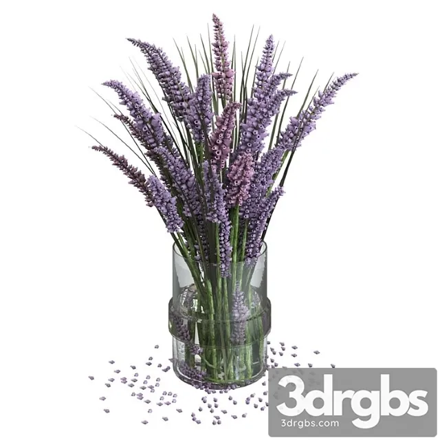 Plants Bouquet Lavender bouquet