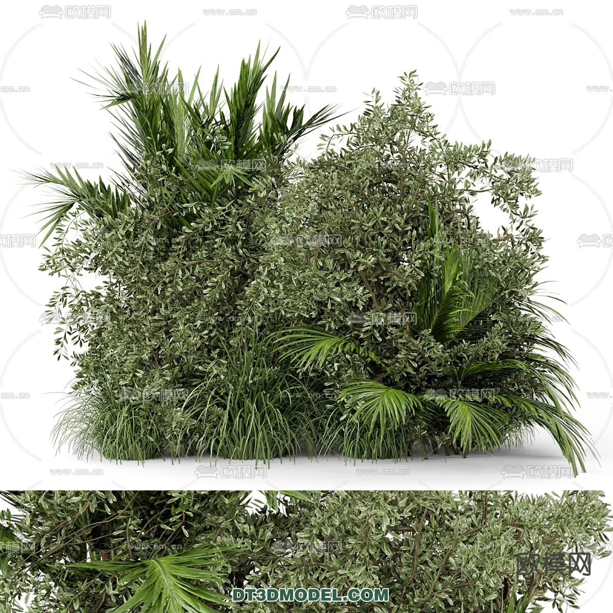 PLANTS – BUSH – CORONA – 3D MODEL – 290