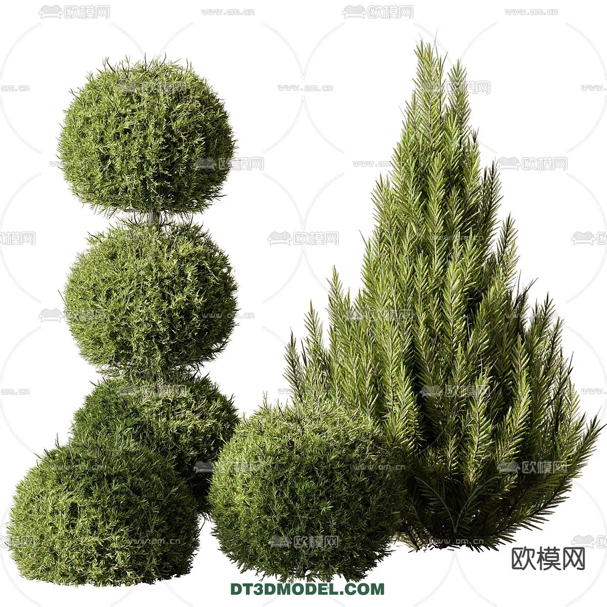 PLANTS – BUSH – CORONA – 3D MODEL – 351