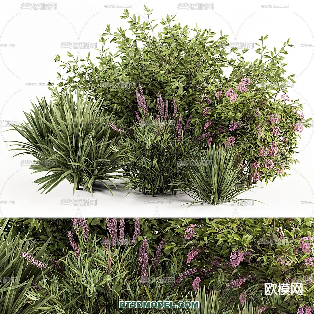 PLANTS – BUSH – VRAY / CORONA – 3D MODEL – 261