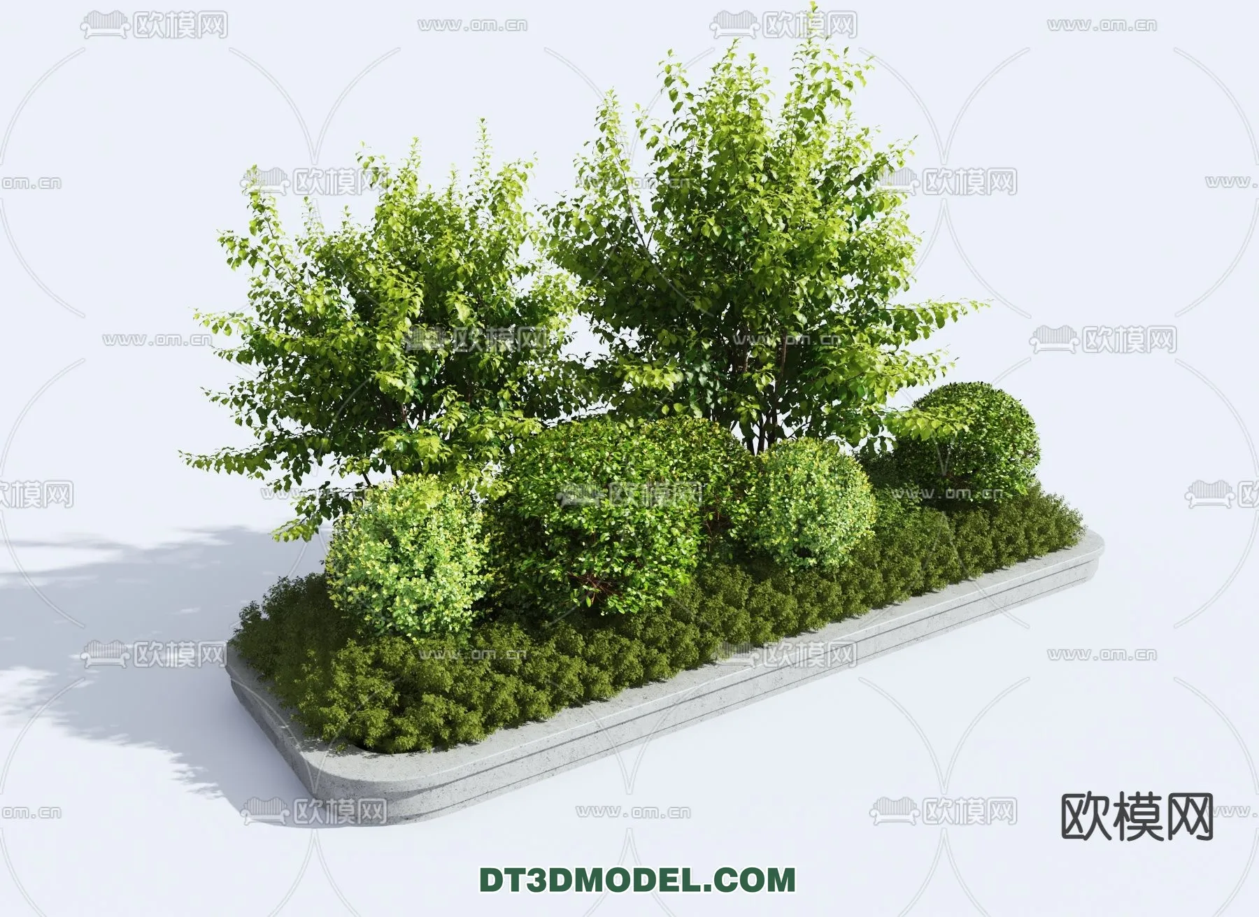PLANTS – BUSH – VRAY / CORONA – 3D MODEL – 297