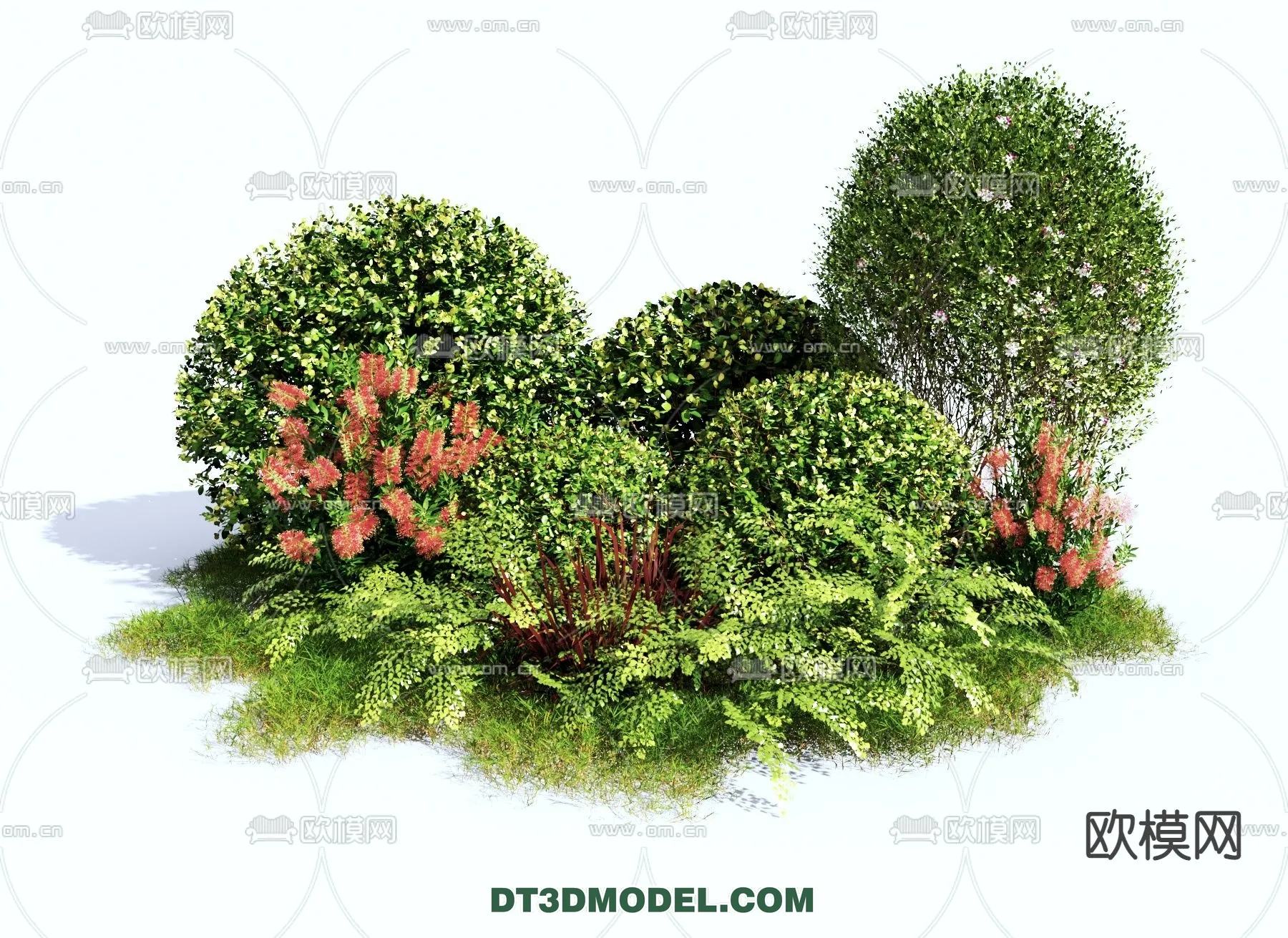 PLANTS – BUSH – VRAY / CORONA – 3D MODEL – 301