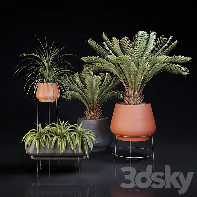 Plants collection 01 3DSMax File