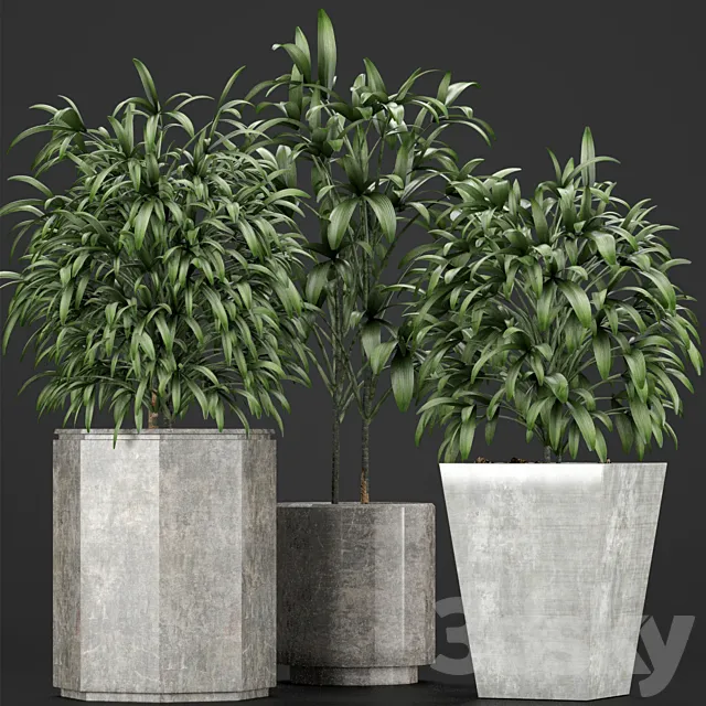 Plants Collection 09 3ds Max