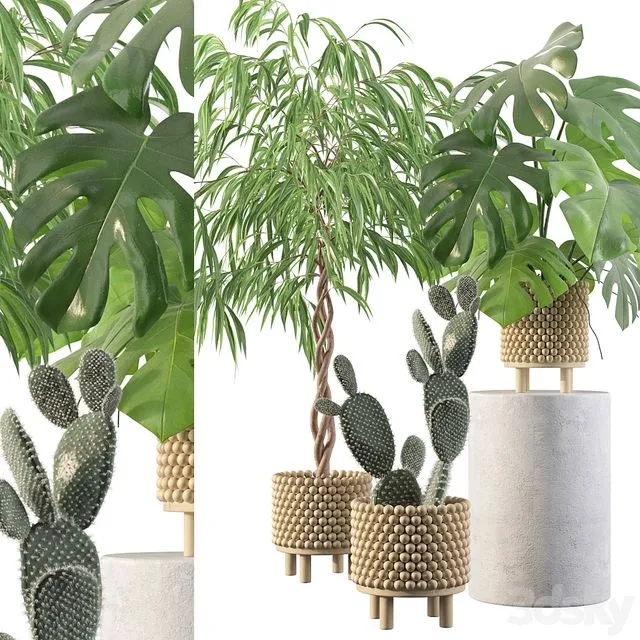 Plants collection 091 3dsMax Model