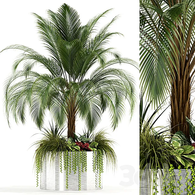 Plants collection 104 3ds Max