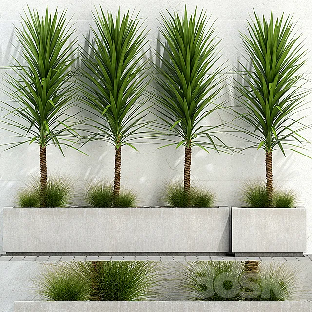 Plants collection 105 3ds Max