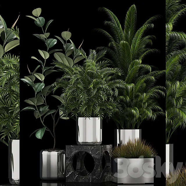 Plants collection 106 3DSMax File