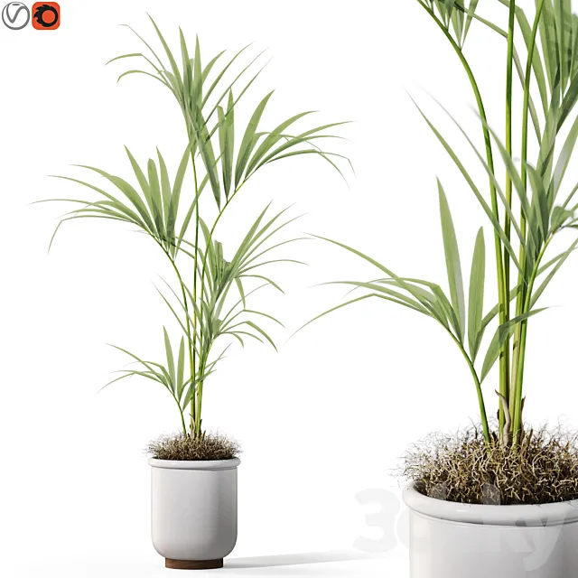 Plants collection 1097 3dsMax Model