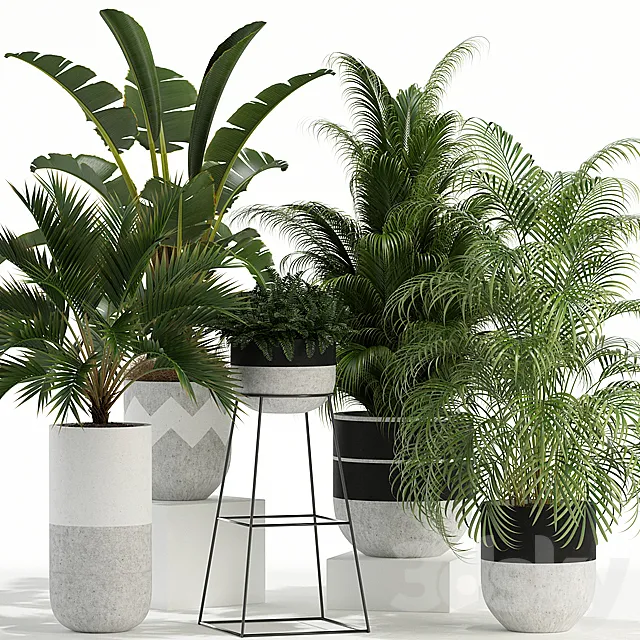 Plants collection 110 3DSMax File