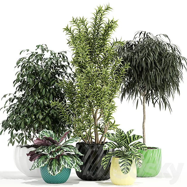 Plants collection 111 3DSMax File
