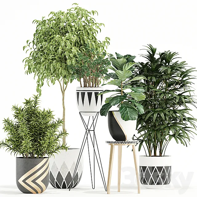 Plants collection 112 3DSMax File