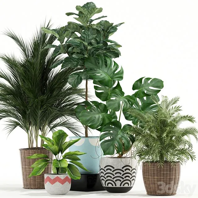 Plants collection 115 3dsMax Model