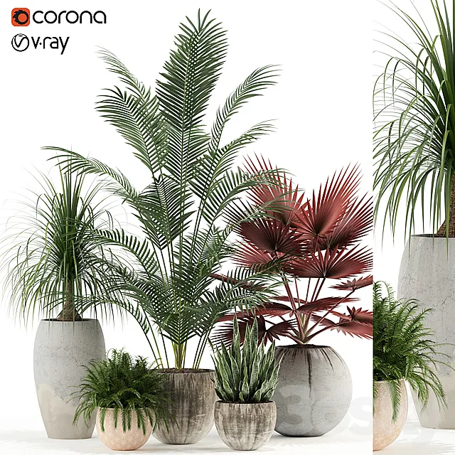 Plants collection 122 3DS Max Model