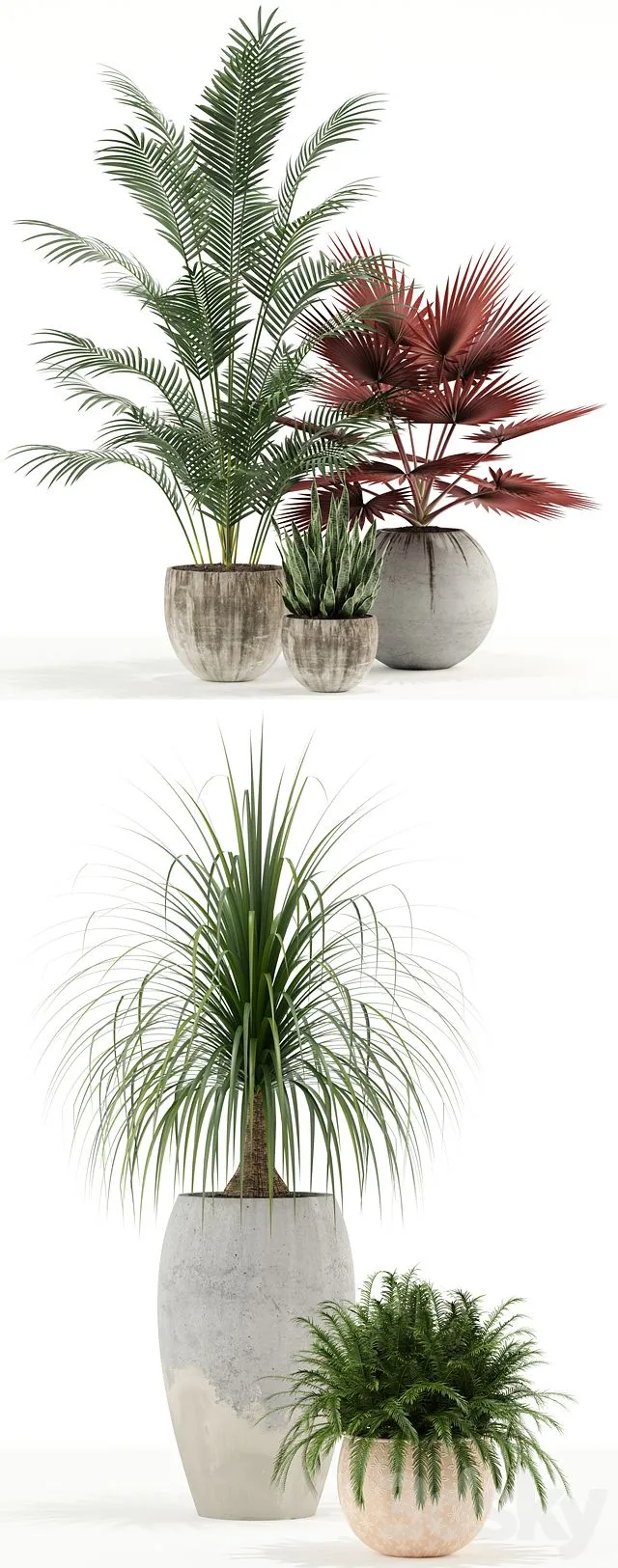 Plants Collection 122 3dsMax Model