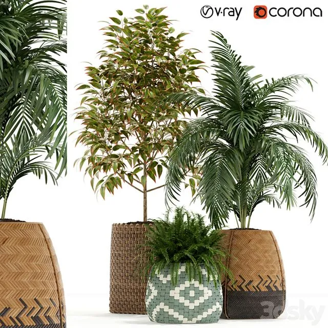 Plants collection 126 3dsMax Model