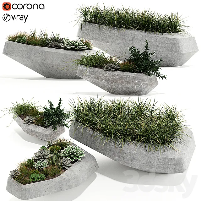 Plants collection 132 indigenus steen 3DSMax File