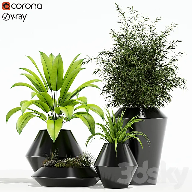 Plants collection 133 Westelm Modern Planters 3ds Max