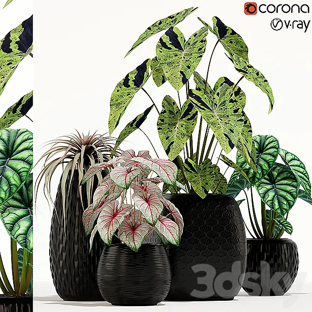 Plants collection 137 3DSMax File