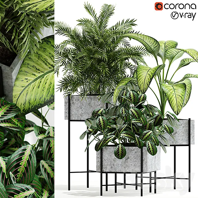 Plants collection 143 Opalo 3DSMax File