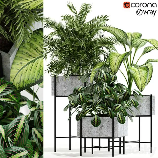 Plants collection 143 Opalo 3dsMax Model
