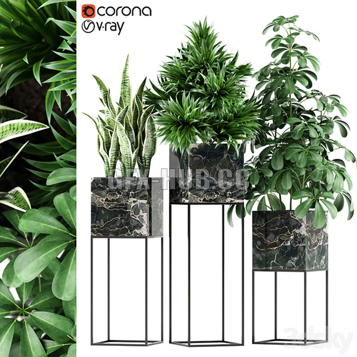 Plants collection 144 MAIA 3dsMax Model
