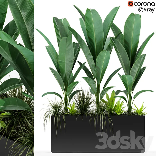 Plants collection 150 3DSMax File