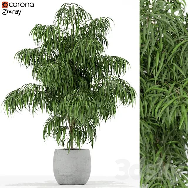 Plants collection 156 3DS Max Model