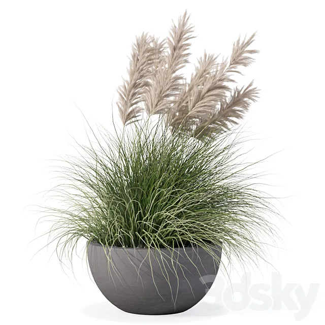 Plants collection 165 – grass 3dsMax Model