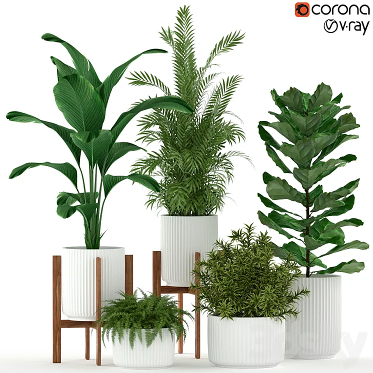 Plants collection 194 3DS Max