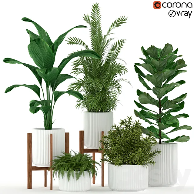 Plants collection 194 3DSMax File