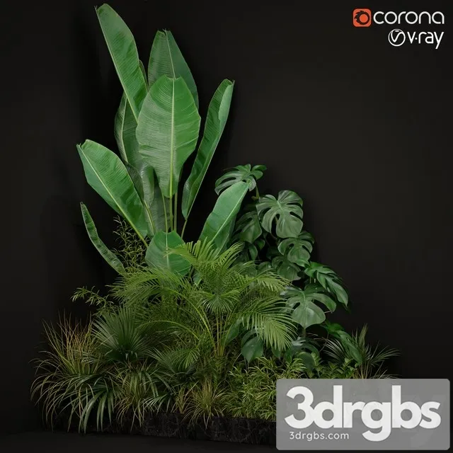 Plants Collection 196 3dsmax Download