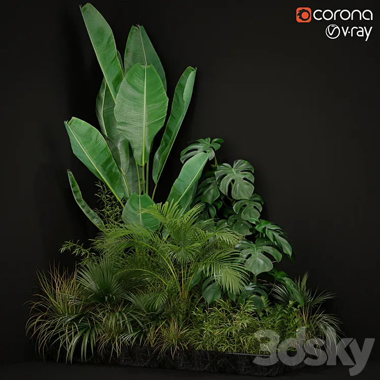 Plants collection 196 3DS Max