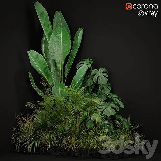 Plants collection 196 3DSMax File