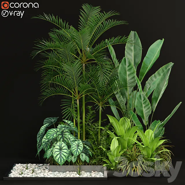 Plants collection 198 3ds Max