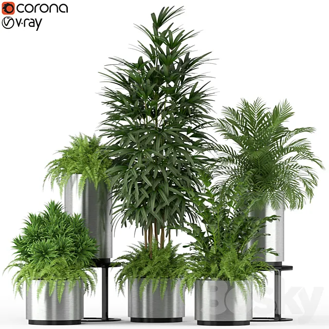 Plants collection 206 3ds Max