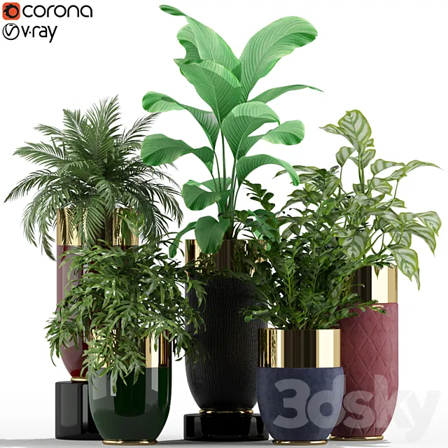 Plants collection 233 Longhi godwin 3ds Max