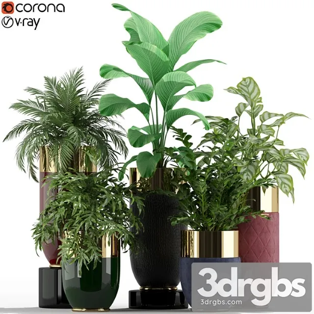 Plants collection 233 longhi godwin