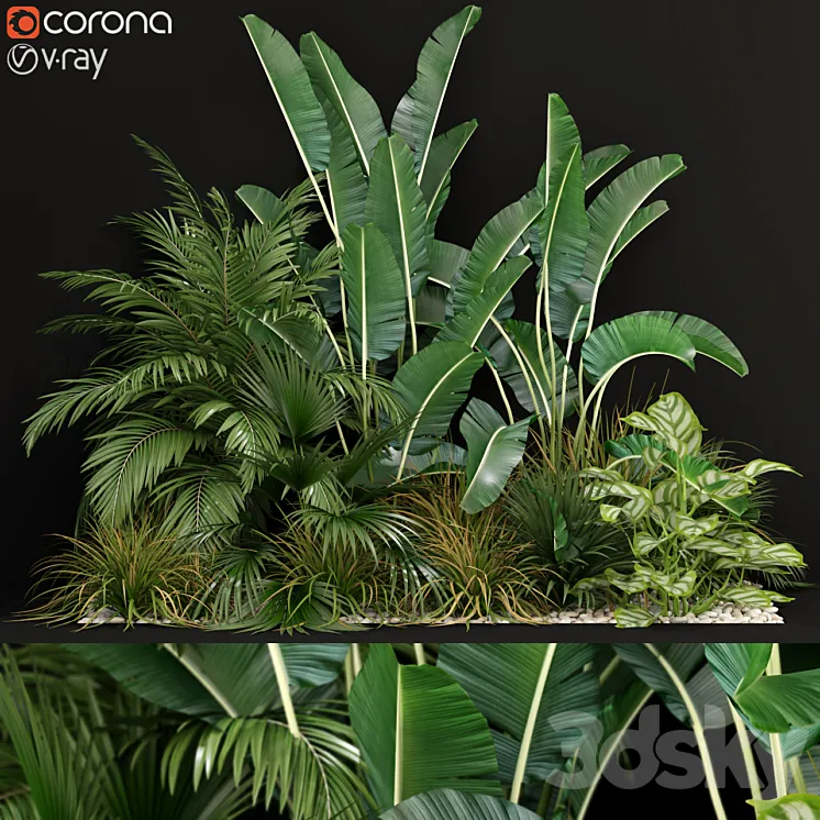 Plants collection 237 3DS Max