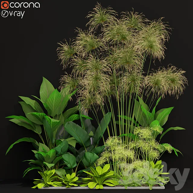 Plants collection 241 3ds Max