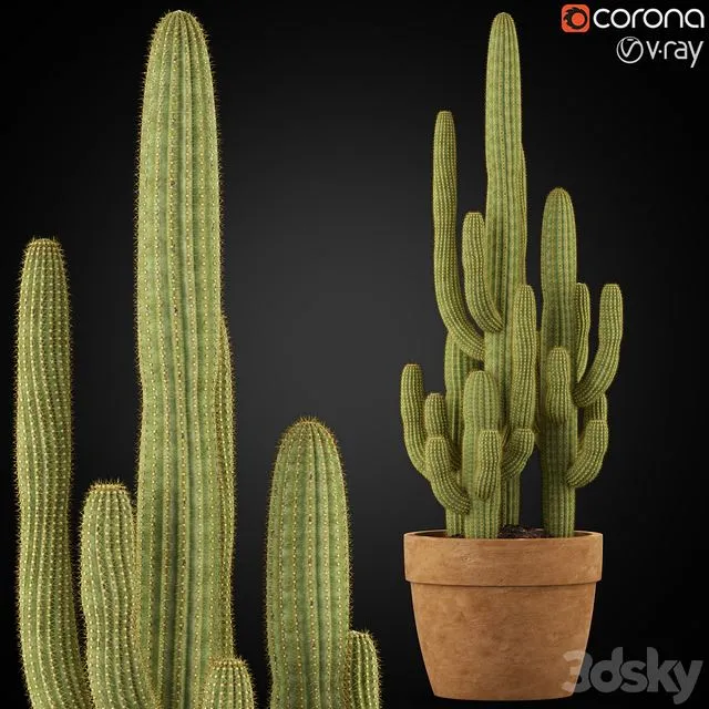 Plants collection 254 3dsMax Model