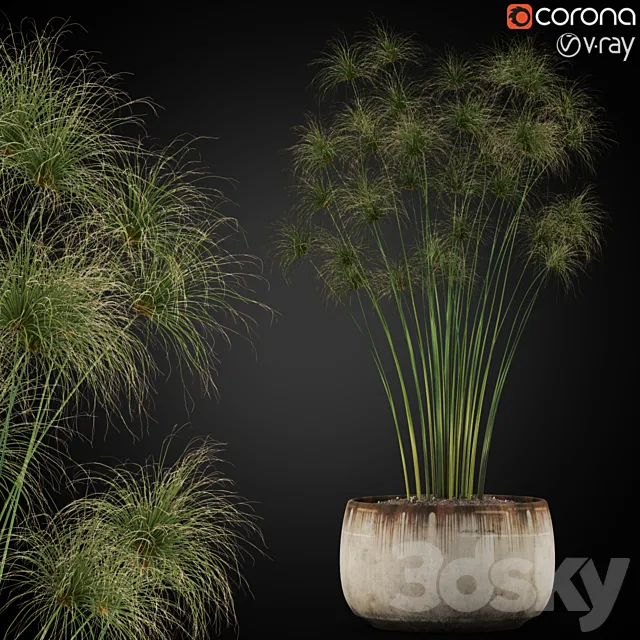 Plants collection 257 3DSMax File