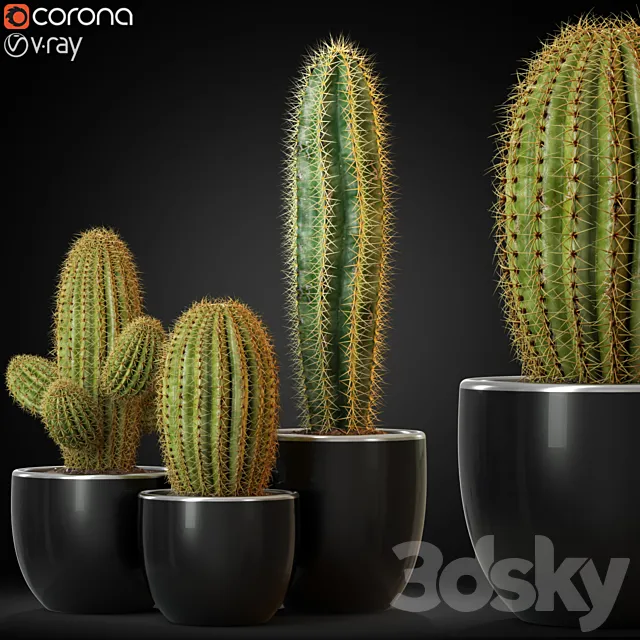 Plants collection 258 3DS Max Model