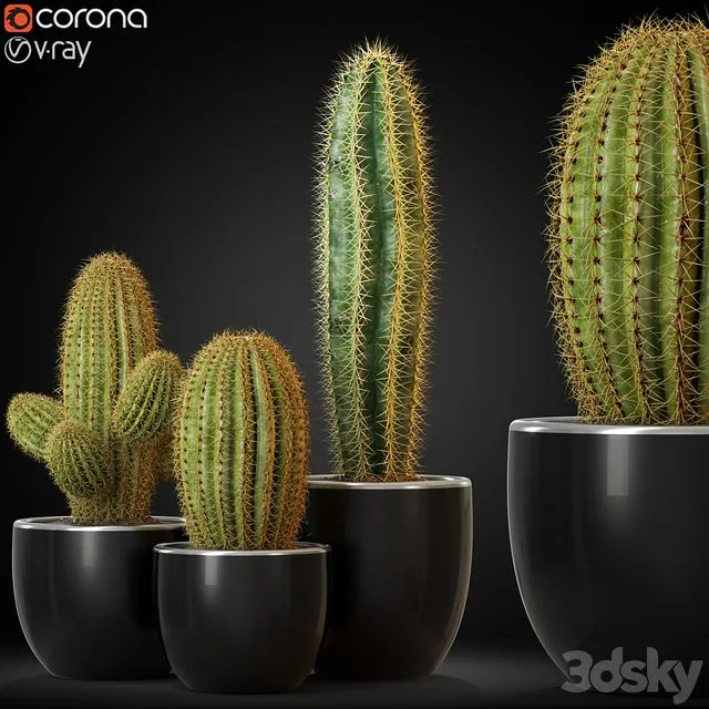 Plants collection 258 3dsMax Model