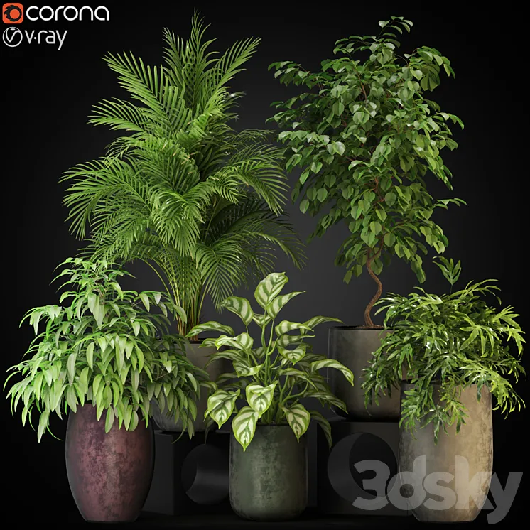 Plants collection 269 3DS Max